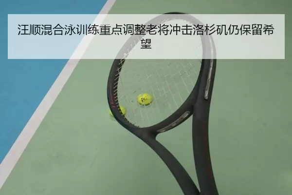 汪顺混合泳训练重点调整老将冲击洛杉矶仍保留希望